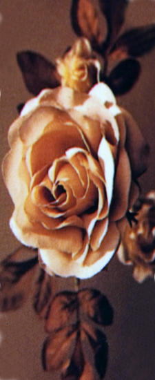 687 DLJ-071-BR Imperial Rose Brown